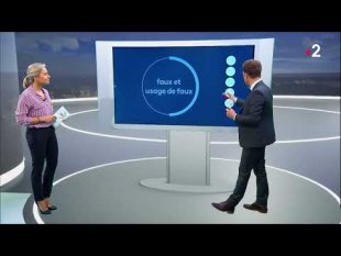 07 -Vrai ou fake ? Des oiseaux sont-ils morts à cause de l'incendie à Rouen ? (avec sous-titres)